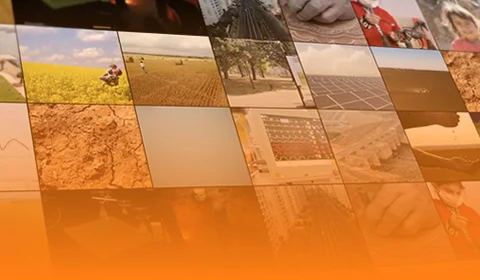 Video Galerisi